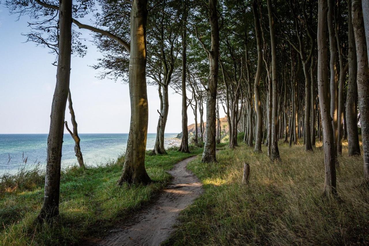 Ferienhaeuschen Kuestenwald Bei Warnemuende, Eigener Garten, Terrasse Mit Strandkorb, 400M Zum Strand Diedrichshagen  Eksteriør bilde